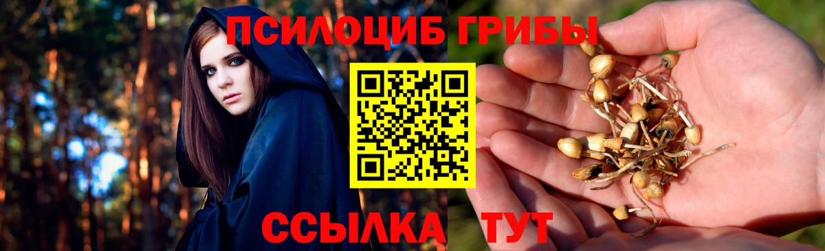 Псилоцибиновые грибы прущие грибы Лабинск
